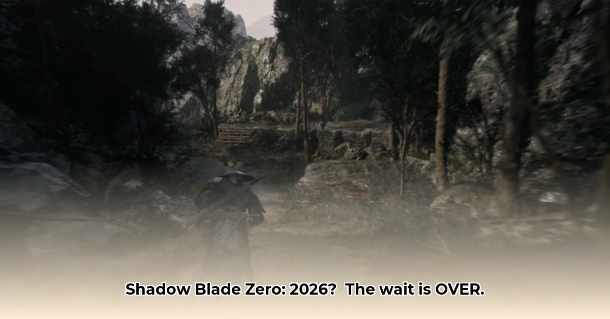 platformer-shadow-blade-zero